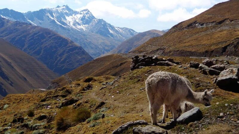 machu-picchu-2-days-1-night-by-bus