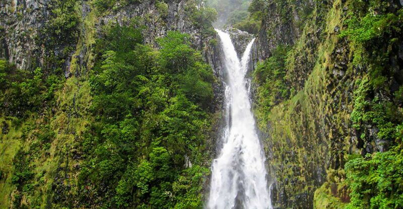 madeira-enjoy-a-guided-levada-walk-in-the-rabacal-valley