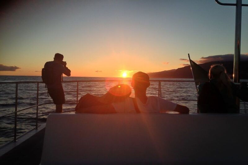 madeira-funchal-sunset-tour-by-catamaran