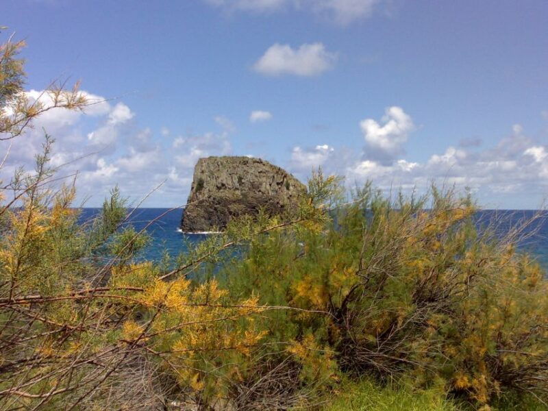 madeira-pico-do-arieiro-laurissilva-forest-east-tour