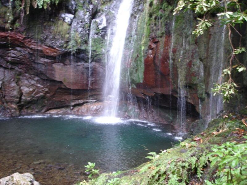 madeira-rabacal-valleys-3-hour-guided-walk