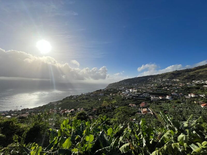 madeira-south-tour-cabo-girao-waterfalls-for-cruise-ship