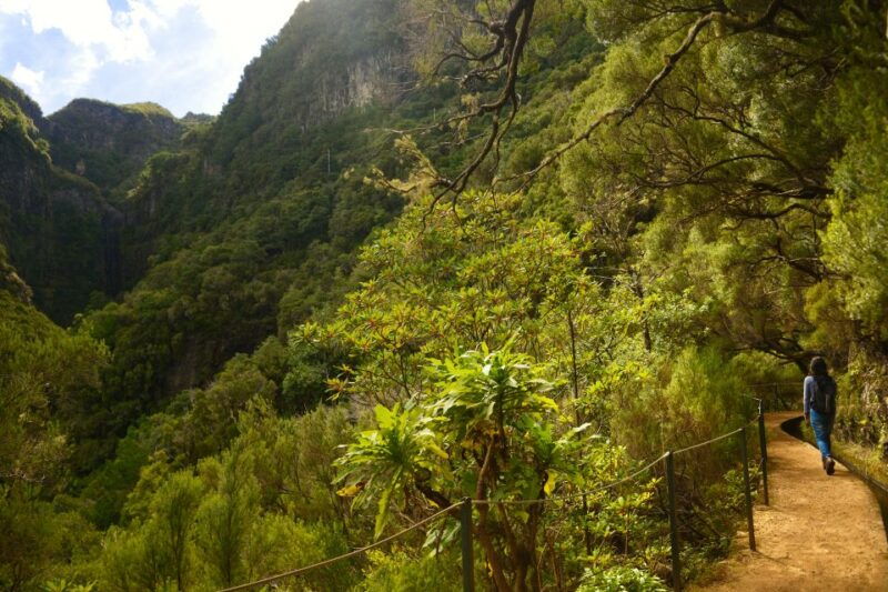 madeira-walks-rabacal-and-the-25-fountains