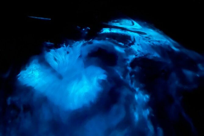 Magical Sunset and Evening with glowing plankton by Cat Ba Local - What Makes This Tour Special
