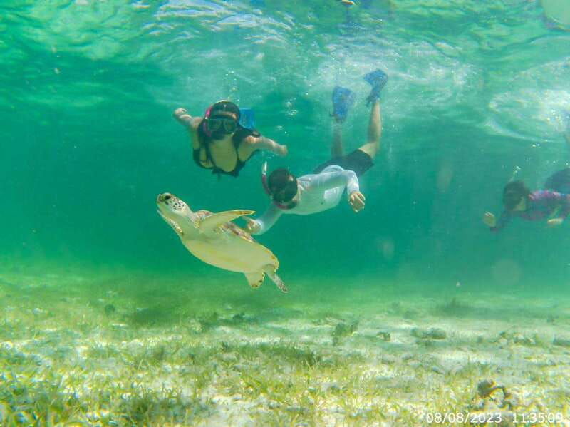 mahahual-snorkeling-boat-tour