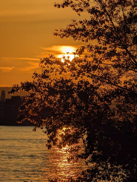 mainz-guided-evening-tour-of-the-rhine-embankment-old-town-in-german-and-english