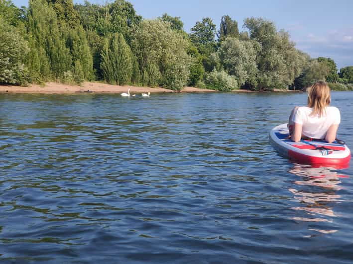 mainz-stand-up-paddling-tour-on-the-rhine-river