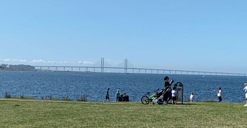 malmo-3-hour-guided-walking-tour