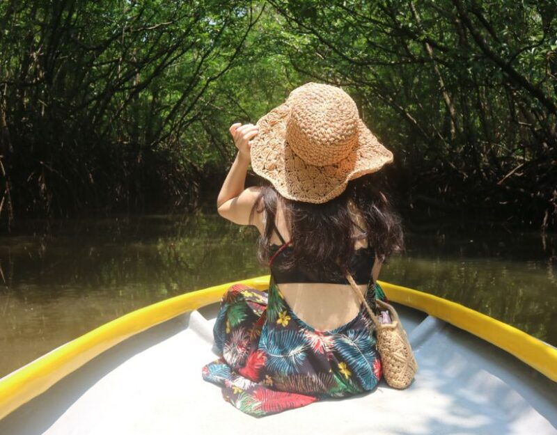 mangrove-day-tour-bintan