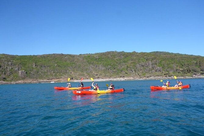 Mangroves and Mansions Guided Kayak Tour on the Noosa River - Final Thoughts: Is It Worth It?