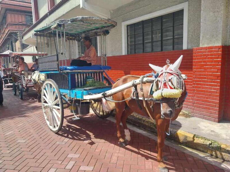manila-intramuros-and-chinatown-food-tour-with-food-samples
