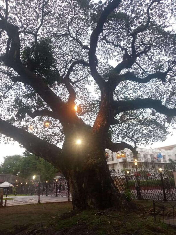manila-intramuros-tour-dark