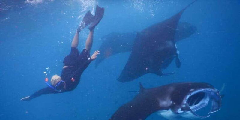 manta-tour-in-nusa-lembongan-and-nusa-penida
