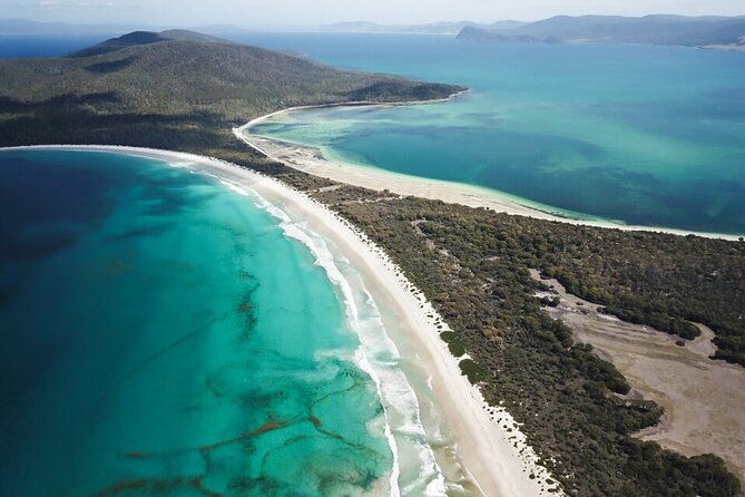 Maria Island Ferry Connection (Hobart to Triabunna Round Trip) - In-Depth Look at the Hobart to Triabunna Shuttle Experience