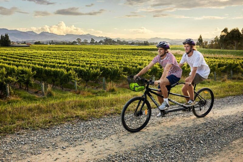 marlborough-full-day-self-guided-biking-wine-tour