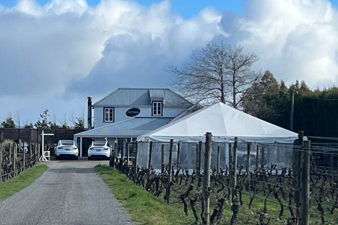 Martinborough Private Food and Wine Tour in Tesla SUV - Why Travelers Love This Tour