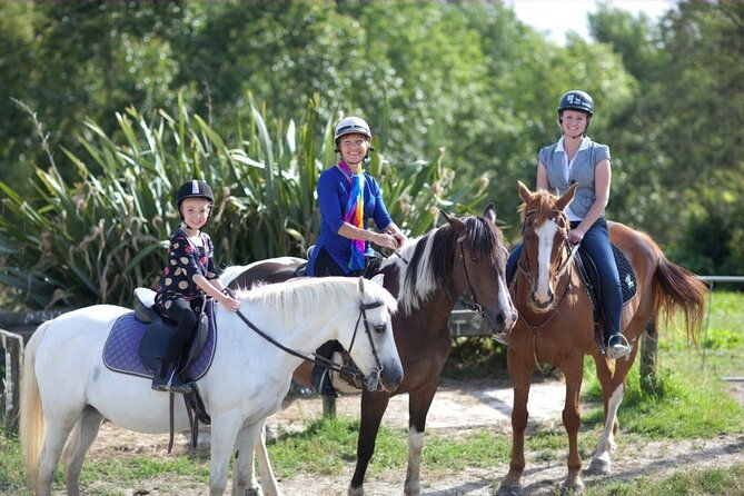 Matakana Art & Horse Riding Experience Private Tour From Auckland - The Value of This Tour