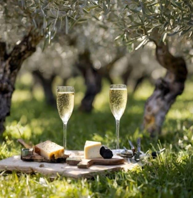 matera-aperitif-truffles-and-champagne-under-the-olive-tree