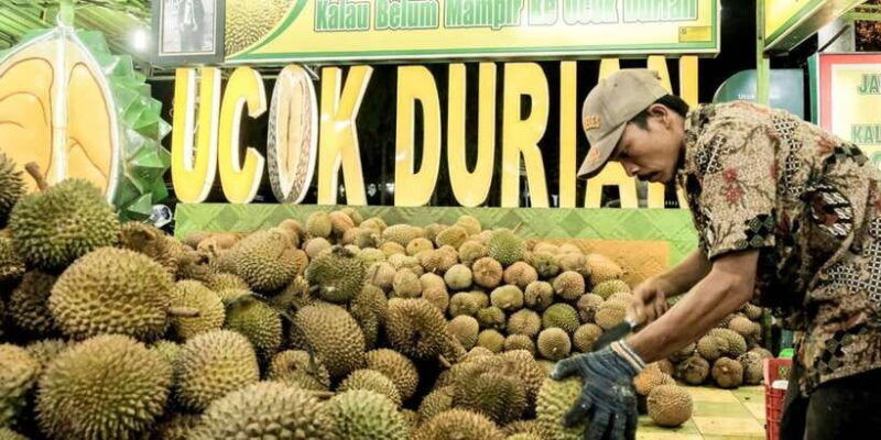 medan-private-car-driver-for-medan-excursions