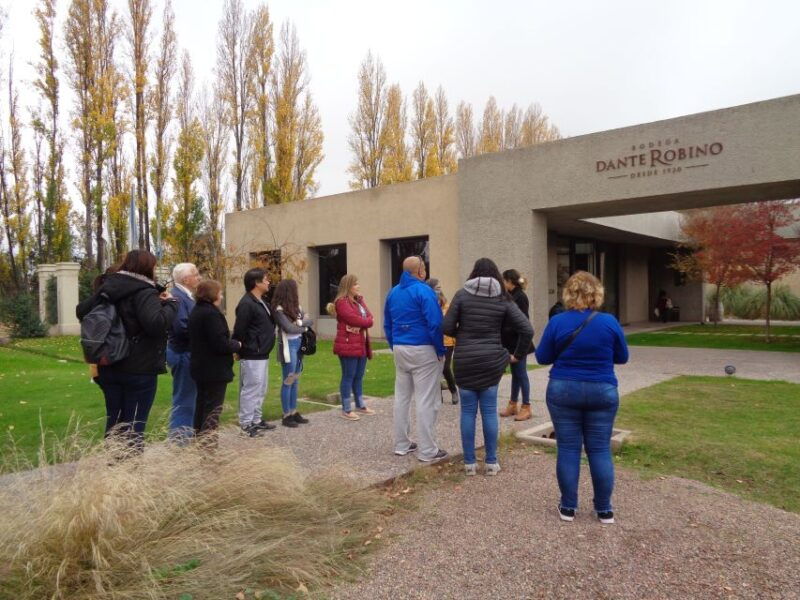 mendoza-half-day-wine-tour-with-tastings