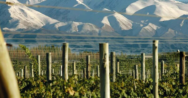 mendoza
