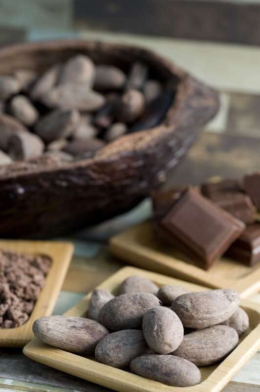 merida-uxmal-and-chocolate-museum-choco-story