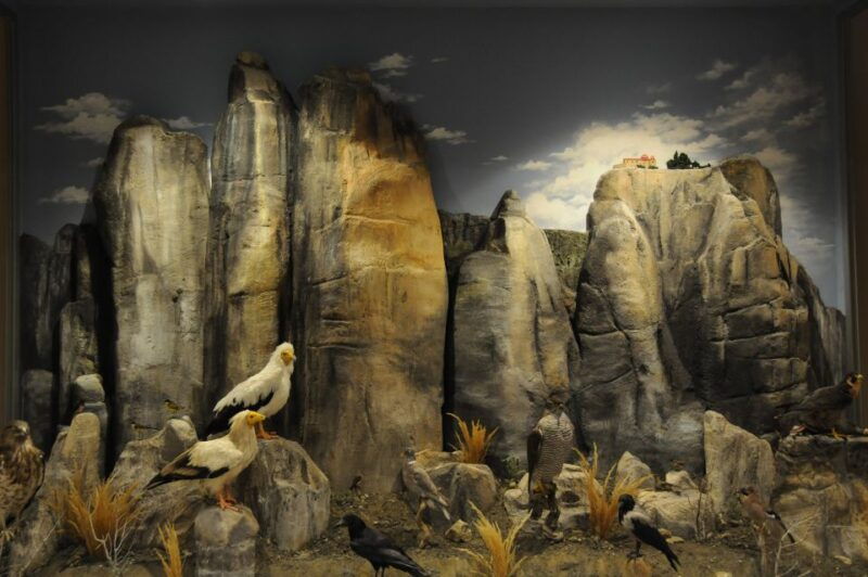 meteora-natural-history-museum-and-mushroom-museum-tour