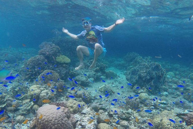 Moalboal Sardines & Turtle Snorkeling and Kawasan Canyoneering - Who Is This Tour Best For?