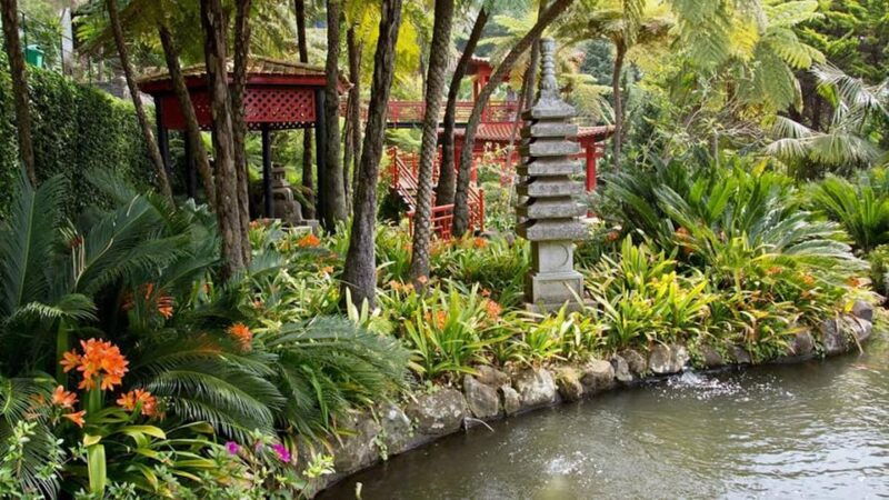 monte-tropical-gardens-old-town-tuk-tuk-tour