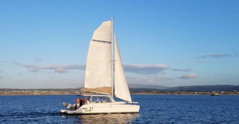 monterey-catamaran-sailing-cruise