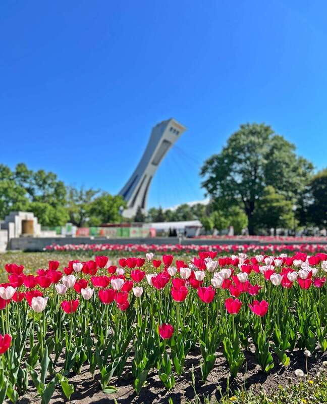 montreal-3-hour-private-car-tour-with-expert-local-guide