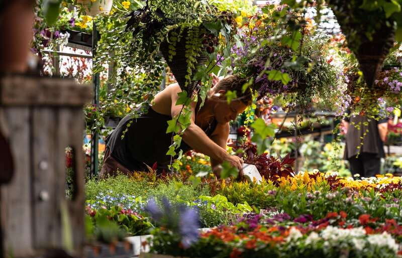 montreal-jean-talon-market-little-italy-highlights-tour