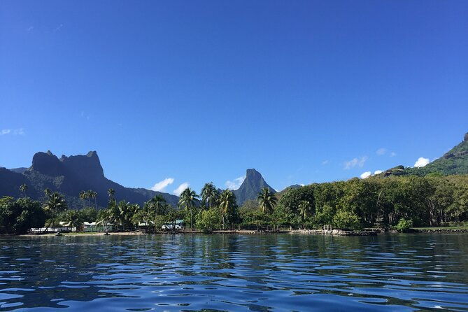 Moorea 6 Hour Snorkeling and Lunch Shared Tour - Practical Details & What to Expect