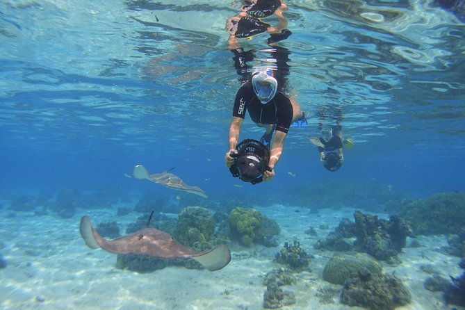 Moorea Private Boat Tour / Sea Scooter Snorkeling Tour - Why This Tour Stands Out