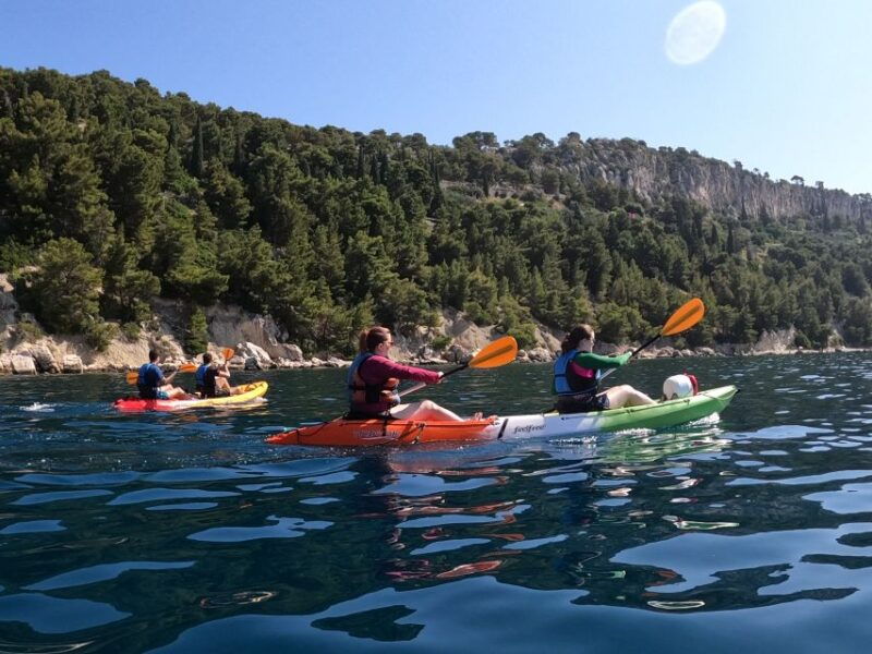 morning-split-sea-kayaking-tour