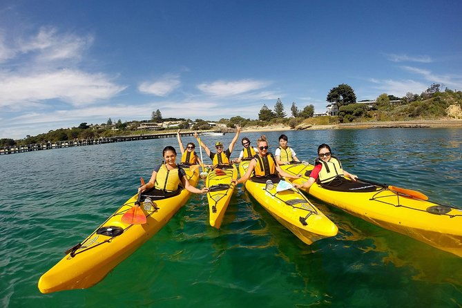 Mornington Peninsula Kayak Coastline Tour of Dolphin Sanctuary - Frequently Asked Questions