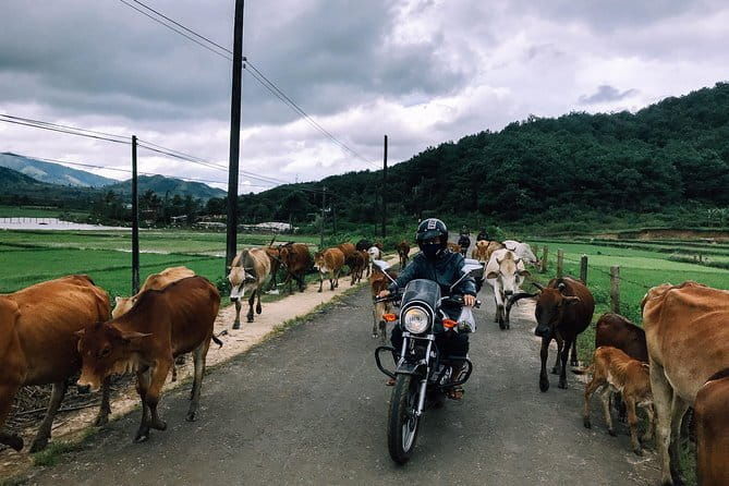 Motorbike tour from Dalat to Muine 2 days trip - Pricing and Value  