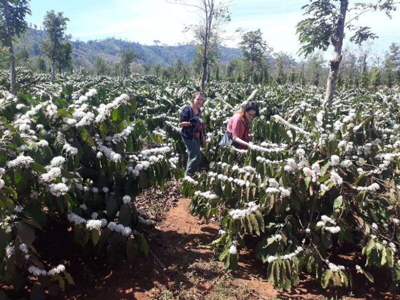 motorcycle-tour-exploring-dalat-countryside-day-tour