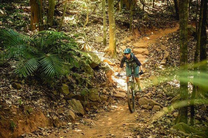 Mountain Bike Tour - Cairns - The Verdict: Is It Worth It?