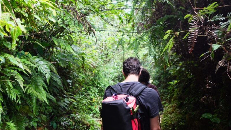 mountain-views-and-villages-trek