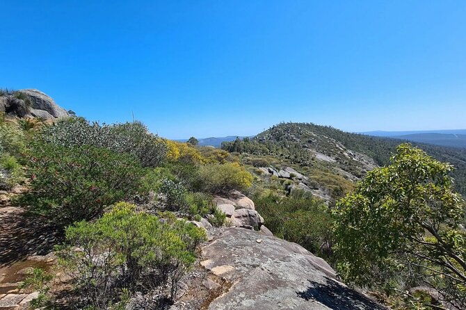 Mt. Cooke Half Day Hiking Experience - Why We Love the Mt. Cooke Experience