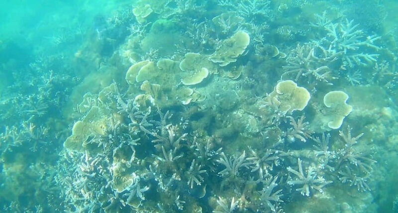 mui-ne-hidden-waterfall-vinh-hy-bay-snorkeling-adventure