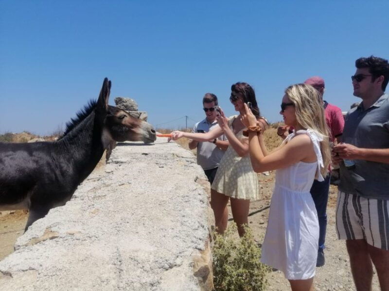 mykonos-highlights-tour-with-panagia-tourliani-monastery