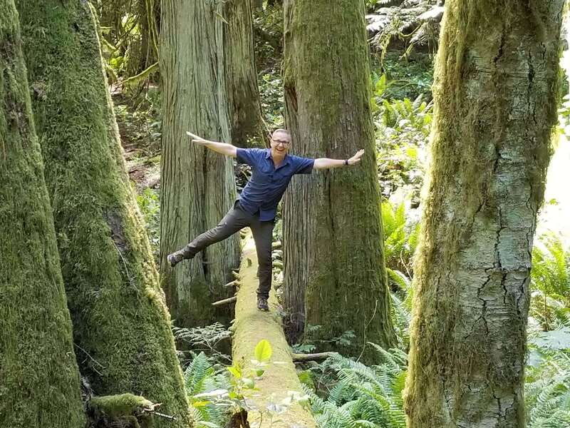 mystical-rainforest-tour-forest-magick