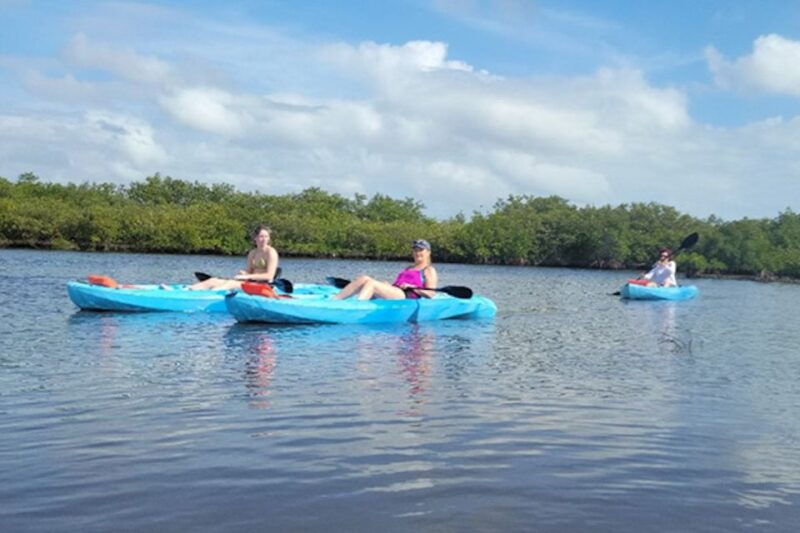 naples-fl-guided-standup-paddleboard-or-kayak-tour