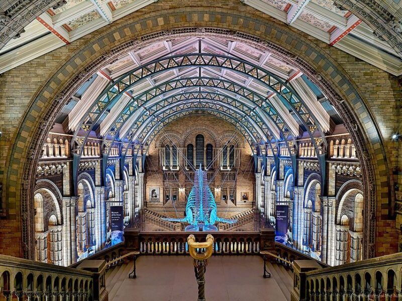 natural-museum-diplodocus-volcanoes-whale-and-gems