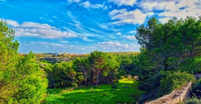 nature-highlights-private-walking-tour-with-transport