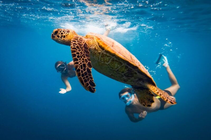 naxos-discover-scuba-diving-on-agios-georgios-beach