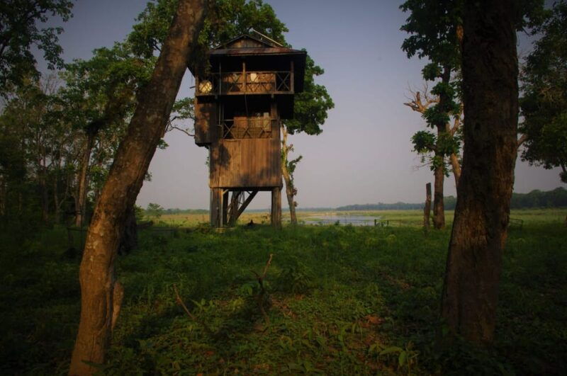 nepal-chitwan-national-park-3-day-jungle-tower-stay