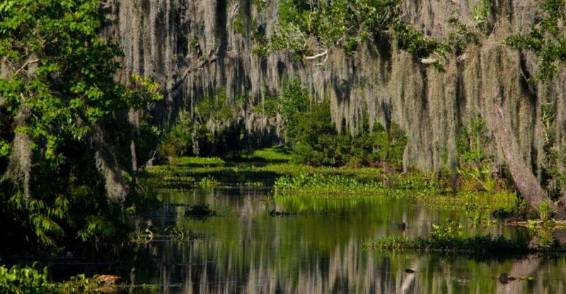 new-orleans-high-speed-16-passenger-airboat-ride